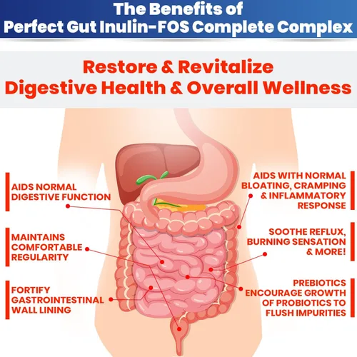 Miniatura 4 de Perfect Gut: Polvo de inulina FOS para la salud intestinal. Inulina prebiótica. Fibra de agave prebiótica única 95% FOS