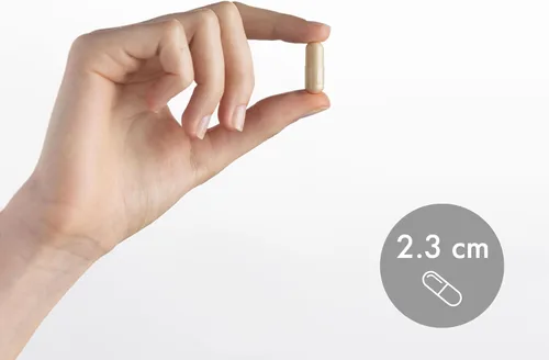 Miniatura 6 de Dr. Mercola Ginkgo Biloba orgánico con NeuroFactor - Apoya la salud cerebral - Extracto de hoja de ginkgo estandarizado - Fruta de café rica