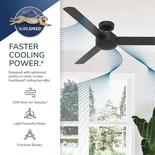 Miniatura 9 de Hunter - Ventilador de techo de 44 pulgadas para interiores sin luz - Ventilador de techo moderno sin luz, 3 aspas, montaje estándar