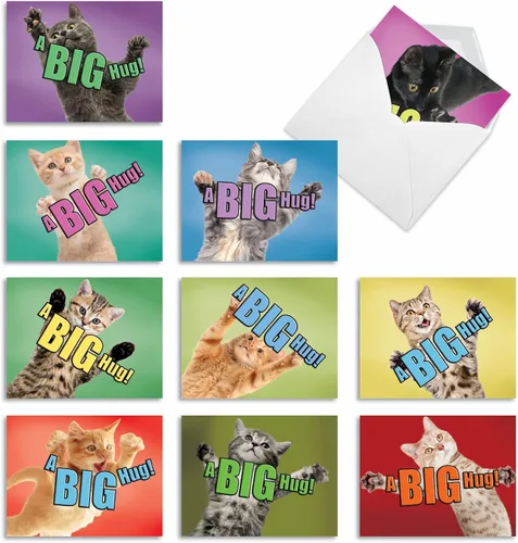 The Best Card Company - 10 tarjetas de gato en blanco para todas las ocasiones (4 x 5.12 pulgadas) - Lindo juego de tarjetas a granel surtido - Cat