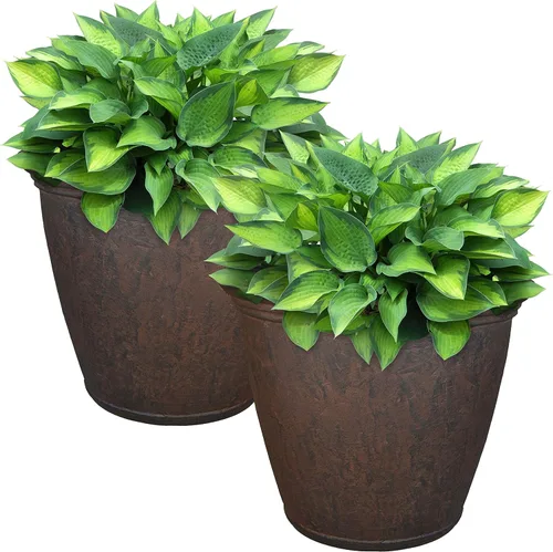 Miniatura 28 de Sunnydaze Anjelica - Maceta grande de plástico de 20 pulgadas para plantas, maceta grande de plástico de doble pared para exteriores con agujeros