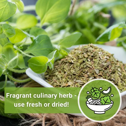 Miniatura 5 de Sow Right Seeds - Semilla de orégano para plantar - Reliquia sin OMG - Instrucciones para plantar y cultivar un jardín de hierbas de cocina