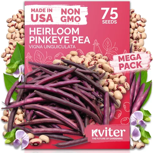 Miniatura 16 de KVITER 325 semillas de tomates gigantes (Solanum lycopersicum) – Filete de ternera paquetes de semillas de tomate – Tomates tradicionales – Semillas