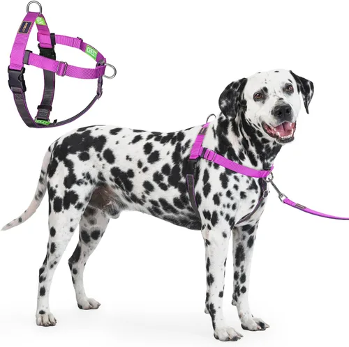 Miniatura 13 de Freedom - Arnés para perro sin tirones, fácil de caminar, deja de tirar con dos anillos en D de acero inoxidable, cómodo, etiquetas de instrucciones
