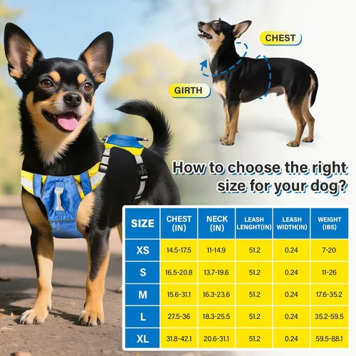 Miniatura 7 de Arnés para perro sin tirones, arnés retráctil 2 en 1 con bloqueo automático, malla reflectante transpirable y asa, juego de correa ajustable