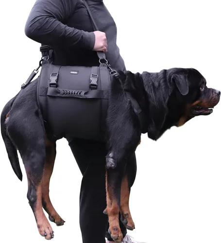 Miniatura 7 de Arnés de elevación para perros, mochila de emergencia para soporte de patas y rehabilitación para perros grandes, lesiones en las articulaciones