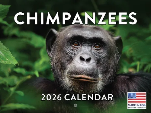 Miniatura 54 de Calendario alpaca 2026, calendario mensual de pared de 12 meses Hecho en Estados Unidos.