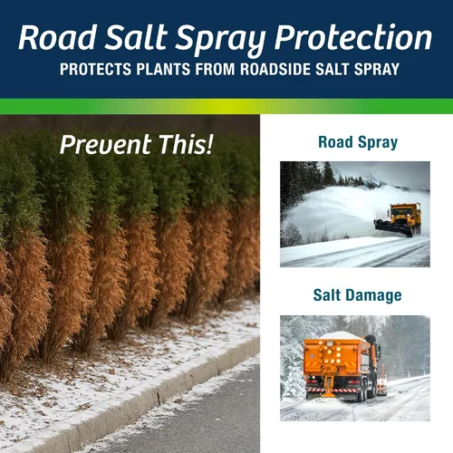 Miniatura 7 de Wilt-Pruf® Concentrado Protege contra daños en invierno, sequías y estrés Simplemente rocía y deja secar Bloquea la humedad con película