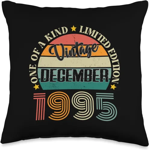 Vintage Birthday Retro Limited Edition Retro Gifts 29 Year Old Vintage December 1995 29th Birthday Retro Throw Pillow, 16x16, Multicolor