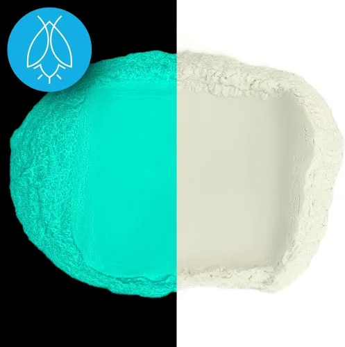 Polvo de pigmento que brilla en la oscuridad - Colores neutros y fluorescentes para pintura artística, bellas artes, pintura de uñas y manualidades