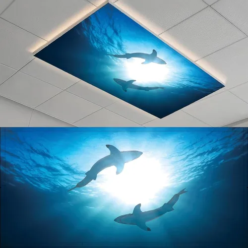 Miniatura 11 de 2 cubiertas de luz fluorescente para el aula, divertidas cubiertas magnéticas fluorescentes de jirafa, cubiertas de luz de techo, cubiertas de panel