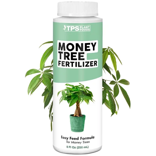 Fertilizante para árbol del dinero para árboles del dinero y todas las plantas de Pachira, alimento líquido para plantas 8 oz (250mL)