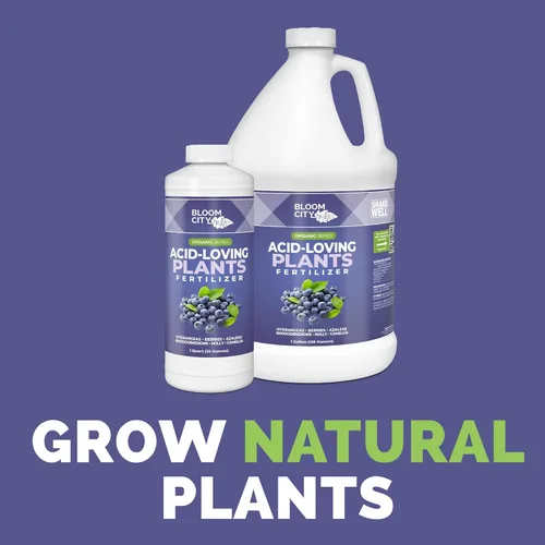 Miniatura 2 de Bloom City Fertilizante para plantas amantes de los ácidos, fórmula líquida de acidificantes y nutrientes para arándanos, hortensias y otras plantas
