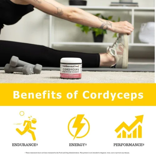 Miniatura 3 de Cordyceps - Gomitas de hongos para adultos 90 porciones Sandía Gomitas de hongos de rendimiento energizante para apoyar la resistencia