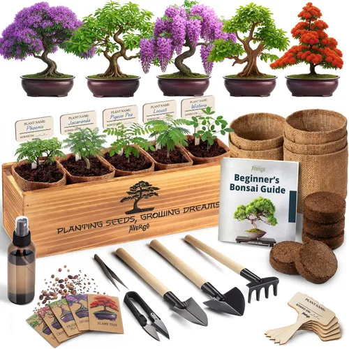 Kit de árbol bonsái de bricolaje para principiantes, 5 árboles bonzai japoneses únicos, kit completo de inicio de bonsái de interior para cultivar