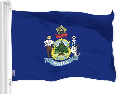 Miniatura 9 de G128 Bandera Gadsden Don't Tread On Me de 3 x 5 pies, doble cara, 3 capas, calidad 150D, poliéster, para fiesta de té, sonajero, serpiente, ojales
