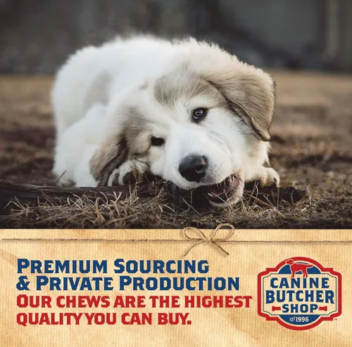 Miniatura 6 de Orejas de cerdo en tiras de Canine Butcher Shop para perros, fabricadas en EE. UU., orejas de cerdo en láminas de cerdo, naturales, golosinas