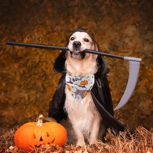 Miniatura 6 de EXPAWLORER Bandanas de Halloween para perro, paquete de 4 bandanas reversibles para perros para disfraz de niños y niñas, bufandas triangulares