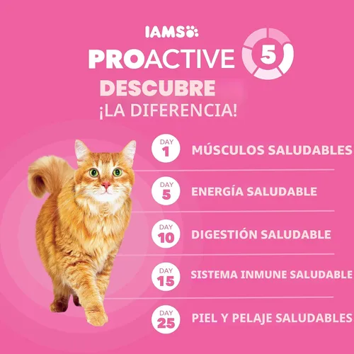 Miniatura 5 de Iams IAMS PROACTIVE HEALTH - Alimento seco para gatos adultos para digestión sensible y piel con pavo real, croquetas para gatos, bolsa de 3 libras