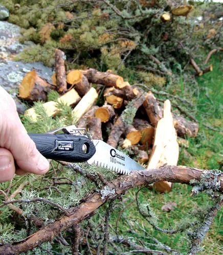Miniatura 5 de Sierra de Coghlan