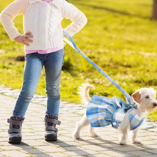 Miniatura 6 de Potchen Juego de 4 piezas de bonito vestido a cuadros para perro con arnés de lazo y correa para perros pequeños, ropa de cachorro para niñas