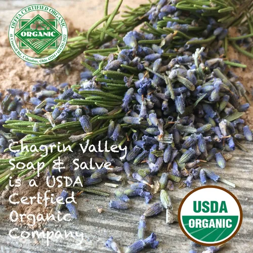 Miniatura 8 de Chagrin Valley Soap & Salve Ayurvedic Champú orgánico y jabón en barra de jabón corporal – Nutre la caspa y el cabello opaco – Champú sin sulfato