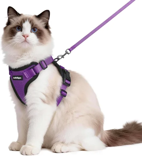 Miniatura 90 de rabbitgoo Juego de arnés y correa para gatos, arnés a prueba de escapes para paseos seguros al aire libre, chaleco suave transpirable ajustable