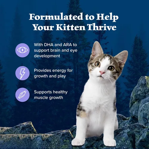 Miniatura 4 de Alimento seco natural para gatitos Blue Buffalo Wilderness, con DHA y ARA para apoyar el desarrollo del cerebro y los ojos, dieta alta en proteínas