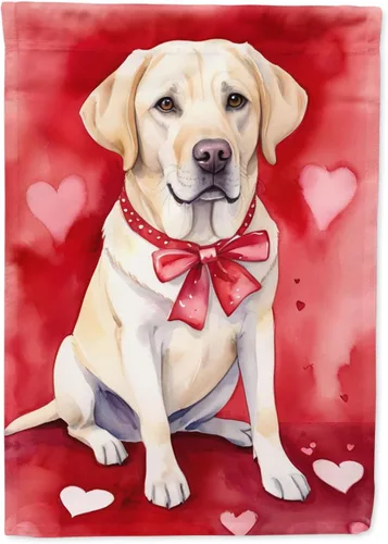 Miniatura 78 de Caroline's Treasures DAC5292CHF - Bandera de Border Collie My Valentine House para porche, grande, con manga para porche, para colgar en la pared