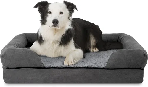 Miniatura 26 de The Dog's Bed - Cama ortopédica de espuma viscoelástica para perros medianos, colchón de soporte de alta densidad, entrada frontal baja, funda negro