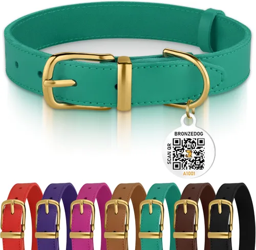 BRONZEDOG Collar de cuero para perro con hebilla de metal, collares básicos duraderos para perros pequeños, medianos y grandes (19-21 pulgadas