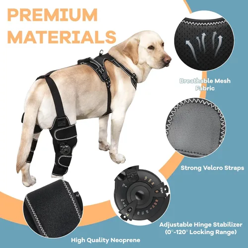 Miniatura 4 de Rodillera para perro con soporte ajustable – Recuperación de desgarros ACL y CCL, estabilización poscirugía, ayuda de movilidad para piernas