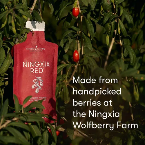 Miniatura 6 de NingXia Red Singles 2oz. - Paquete de 30 aceites esenciales de Young Living