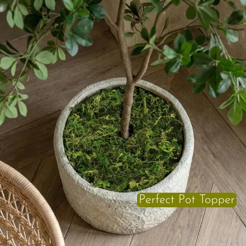Miniatura 7 de BYHER Musgo falso de 4 onzas, musgo para manualidades y plantas de interior, césped verde artificial realista para jardín de hadas, proyectos