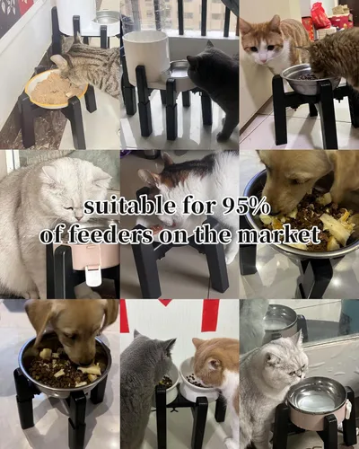 Miniatura 7 de CZPET Soporte dispensador de agua para perros, soporte para comederos automáticos de mascotas, soporte elevado ajustable de ancho y altura