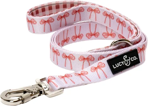 Miniatura 29 de Correa para perros de diseño Lucy & Co. - Accesorios para mascotas - Correa gruesa para perros - Asa acolchada para mayor comodidad - Entre