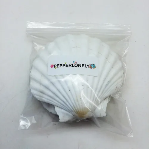 Miniatura 4 de Conchas marinas Pepperlonely, vieiras de diferentes tamaños