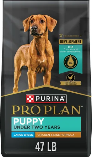 Miniatura 16 de Purina Pro Plan Alimento seco para cachorros de raza grande, fórmula de pollo y arroz, bolsa de 18 libras