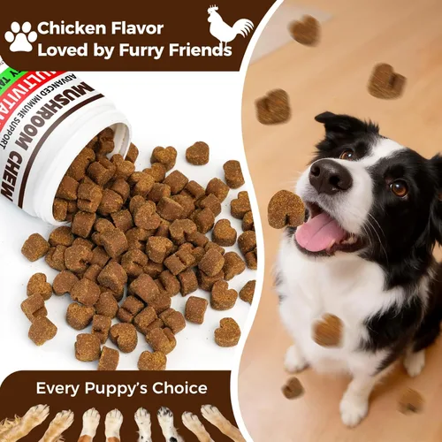 Miniatura 3 de Hongo de cola de pavo para perros, apoyo inmunológico, 170 masticables orgánicos masticables de hongos para perros bultos y protuberancias, potente