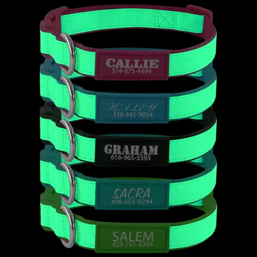 Collares de perro personalizados para perros pequeños y grandes con nombre personalizado y números de teléfono, collar luminoso ajustable que brilla