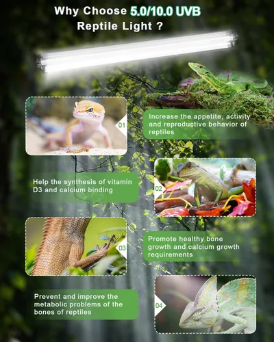 Miniatura 2 de Kit de luz para reptiles T5 UVB, lámpara de reptil T5 de 39 W con bombilla fluorescente UVB 10.0, lámpara de campana de terrario de 35 pulgadas