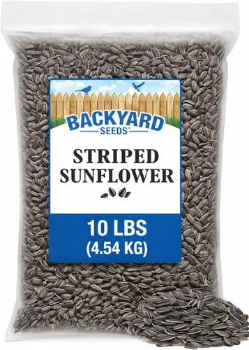 Miniatura 14 de CountryMax Backyard Seeds Semillas de Girasol de Aceite Negro (10 libras)