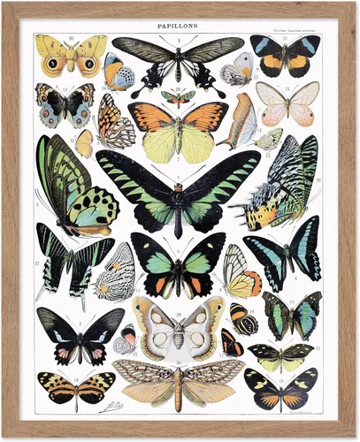 Miniatura 60 de Poster Master Póster vintage de miel, impresión retro de La Vie De L'Abeille, arte de panal de abeja, arte de pared de abeja, regalo para hombres