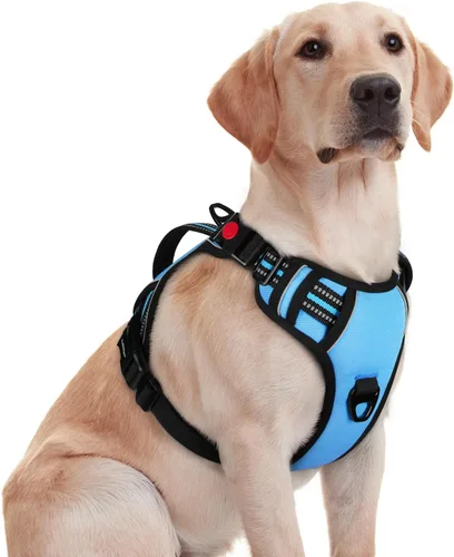 Miniatura 11 de rabbitgoo Arnés para perro de tamaño pequeño, arnés para mascotas sin tirones con mango acolchado suave, chaleco reflectante ajustable con 3