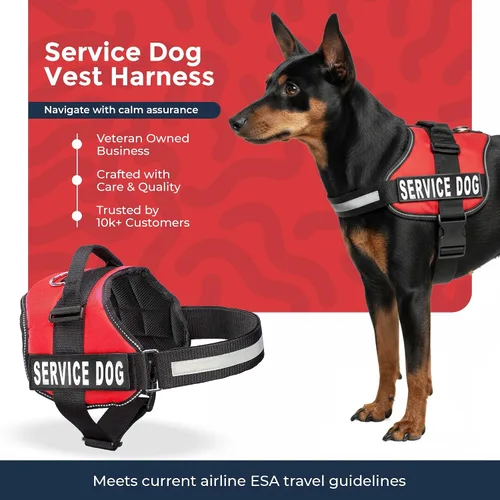 Miniatura 7 de Arnés Industrial Puppy para perros con correas y asa, y chaleco con parche reflectante, en un cómodo diseño de malla, Bright Red 2-Rojo Brillante