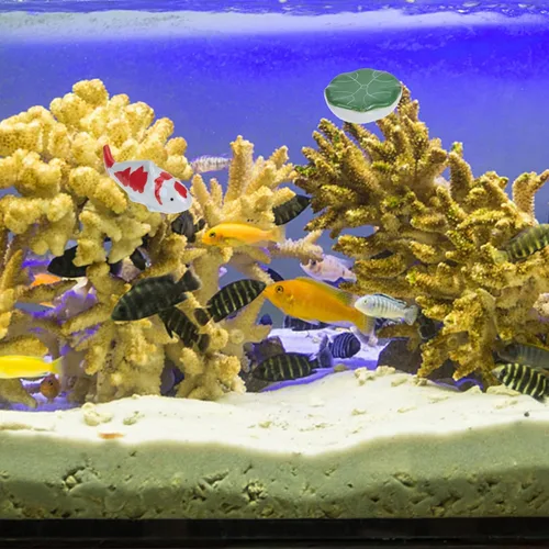 Miniatura 9 de BESPORTBLE Figuras de peces de porcelana, flotadores de pecera, estatua de pez de cerámica, decoración de bolas, decoración de acuario, criatura