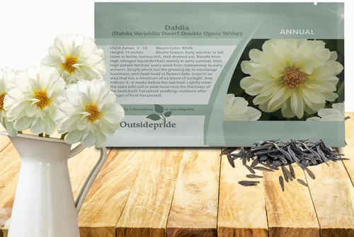 Miniatura 9 de Outsidepride Opera Mix - Semillas de dalia para plantar, 200 unidades, anuales, fáciles de cultivar, semillas de flores de larga temporada