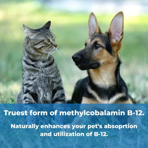 Miniatura 4 de Wonder Laboratories Pet Factor B-12 Vitamina B-12 en forma de metilcobalamina Popular en el tratamiento de EPI en perros 180 cápsulas