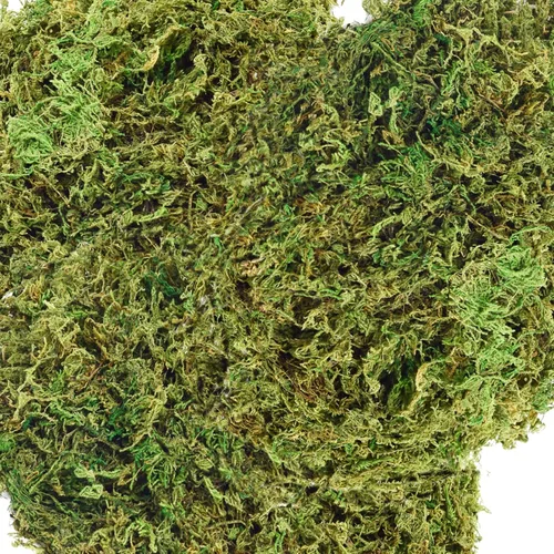 Musgo de 35 onzas para plantas en maceta, musgo falso para plantas falsas, musgo artificial para manualidades, musgo artificial para plantas falsas,