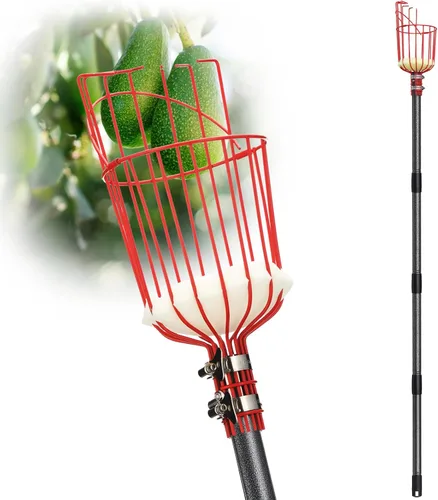 Miniatura 10 de DonSail Herramienta de caña para recoger frutas con cesta de mango largo, 35-65 pulgadas ajustable de manzana naranja con cesta para recogedor
